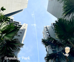 Grandeur Park Residences (D16), Condominium #487316481